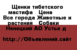 Щенки тибетского мастифа › Цена ­ 80 - Все города Животные и растения » Собаки   . Ненецкий АО,Устье д.